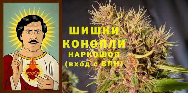 шишки Вязники