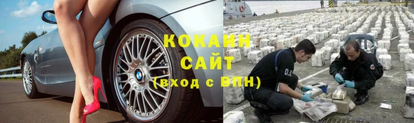 шишки Вязники
