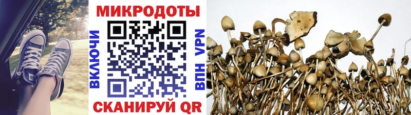 Псилоцибиновые грибы ЛСД Оренбург